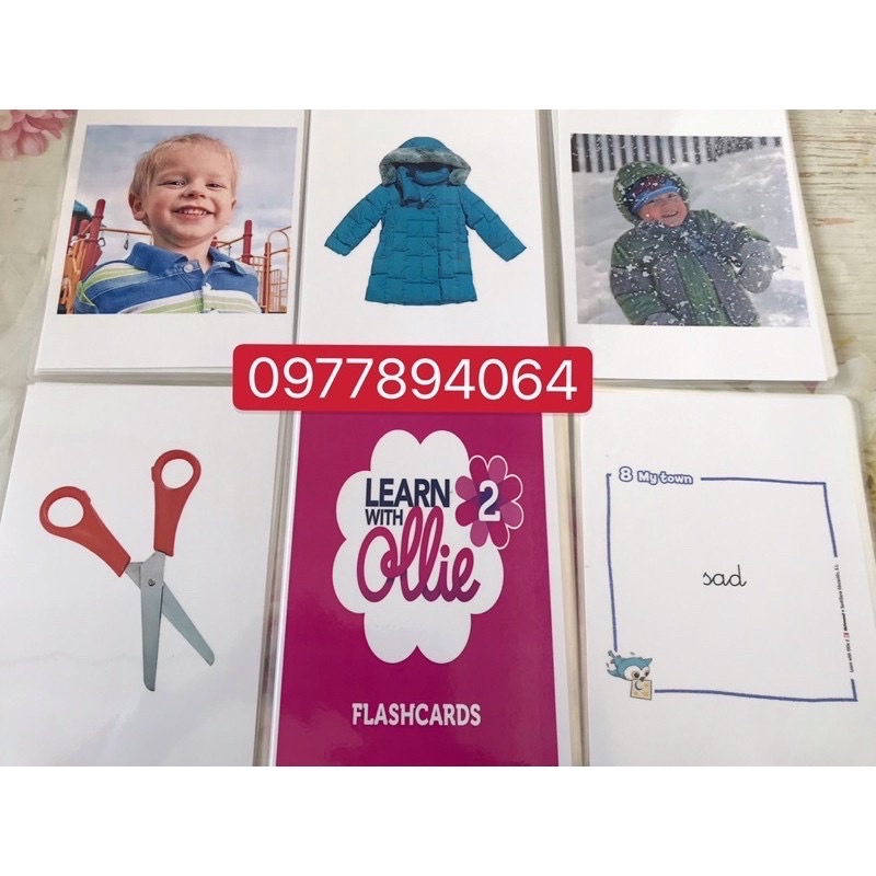 Flashcards  Learn with Ollie Level 1-2-3 thiết kế 2 mặt ép plastics bền đẹp