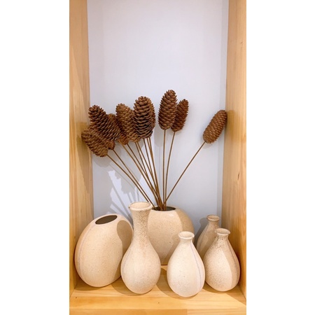 Hoa khô cắm trang trí gia đình,làm phụ kiện chụp ảnh sản phẩm