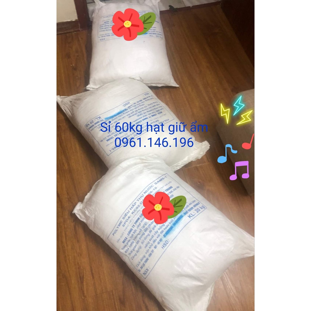 Hạt polyme siêu hấp thụ nước SAMS1 bịch 1Kg