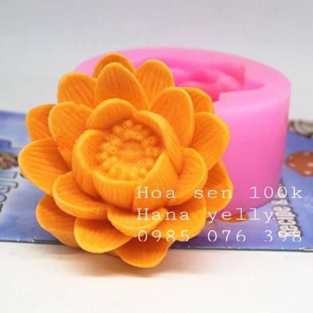Khuôn rau câu silicon 4D Hoa sen đại Mã SG1204