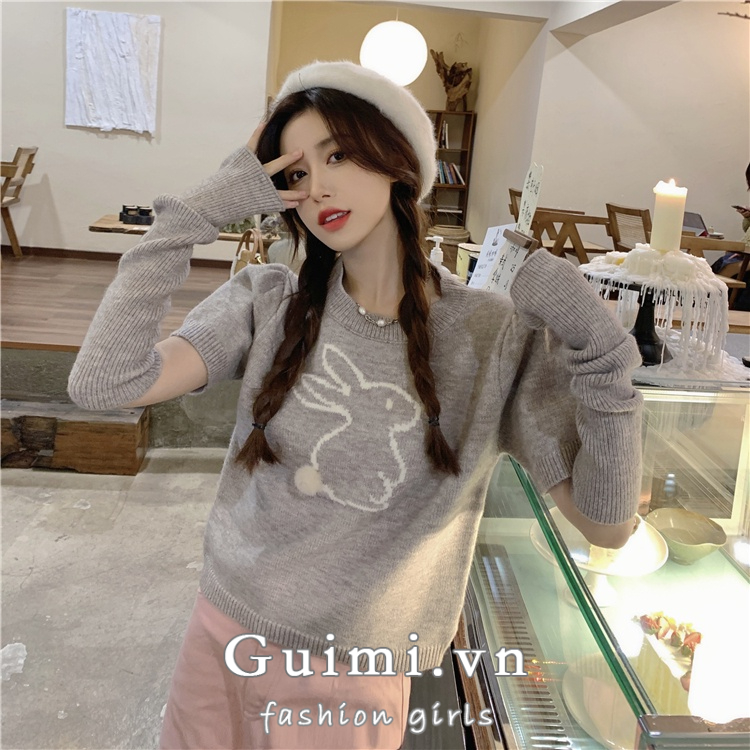 Áo sweater Dệt Kim Tay Dài Thời Trang Xuân Thu Cho Nữ