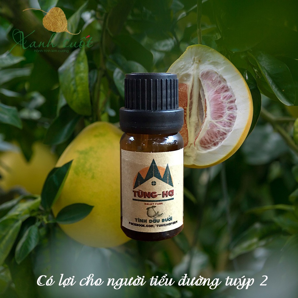 [Tùng Hạ Farm] Tinh Dầu Bưởi Nguyên Chất 10ml-- Grapefruit Essential Oil 10ml- Kích thích mọc tóc và giảm cân hiệu quả