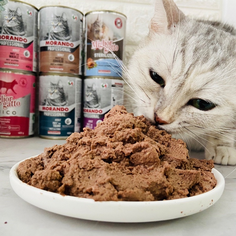 Pate Morando cao cấp cho mèo (400gr)