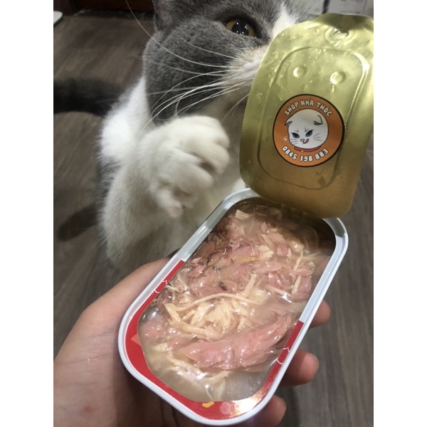 Pate hộp bữa ăn dinh dưỡng nhanh chóng cho chó mèo thịt hộp thiếc thơm ngon