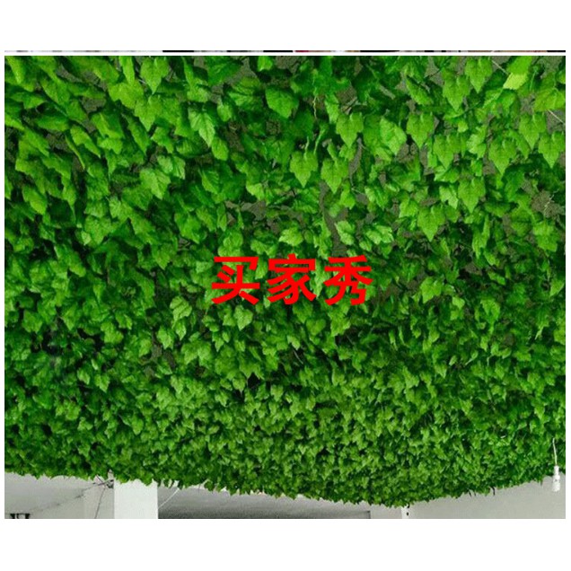 CÂY LÁ GIẢ - LÁ NHỌN XANH TRANG TRÍ