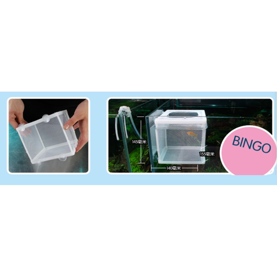 Box Lưới - Lồng Cách Ly, Dưỡng Cá Tép Bằng Vải Lưới