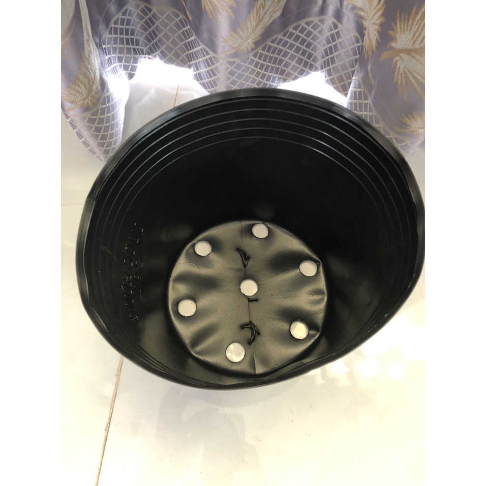 Chậu Nhựa Trồng Cây C16 Đen Mềm Dày Dặn