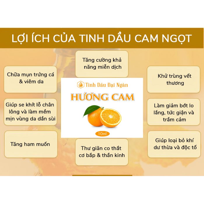 Tinh dầu hương cam ngọt thơm xông phòng thiên nhiên 10ml Đại Ngàn