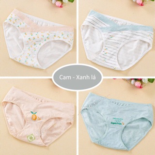 Sét 4 quần lót bầu cotton cao cấp