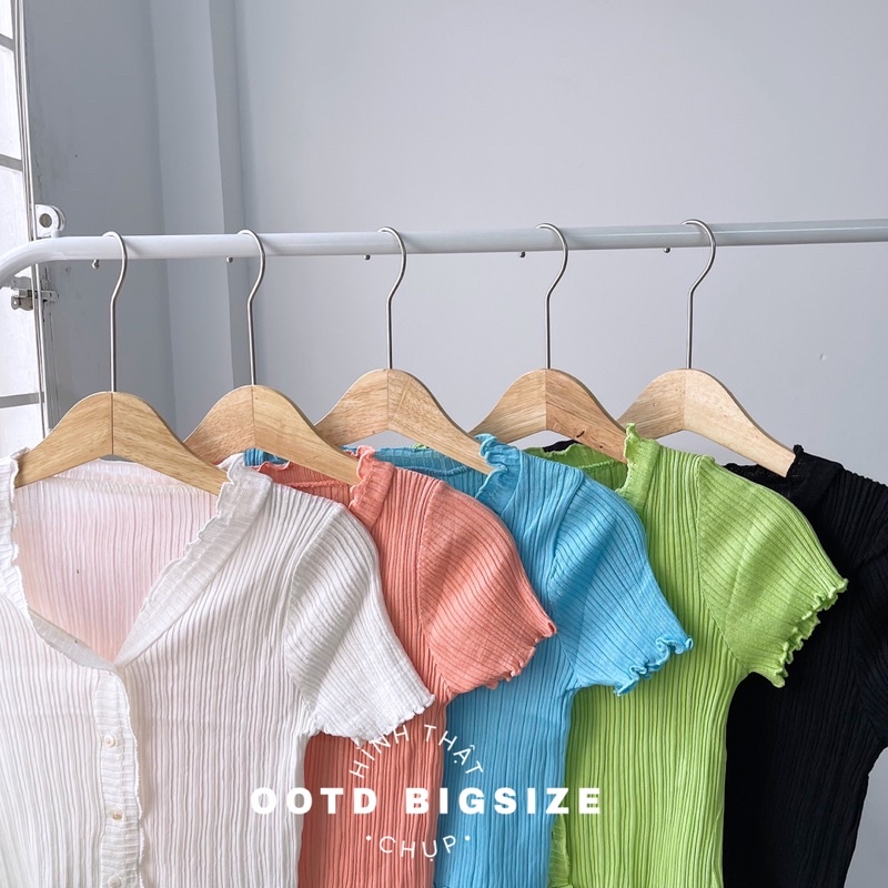 Áo croptop bigsize len dệt viền bèo cổ bèo