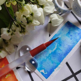 Set cọ Lục Phì Hồng Sấu {Dẫn Thuỷ Hiên}