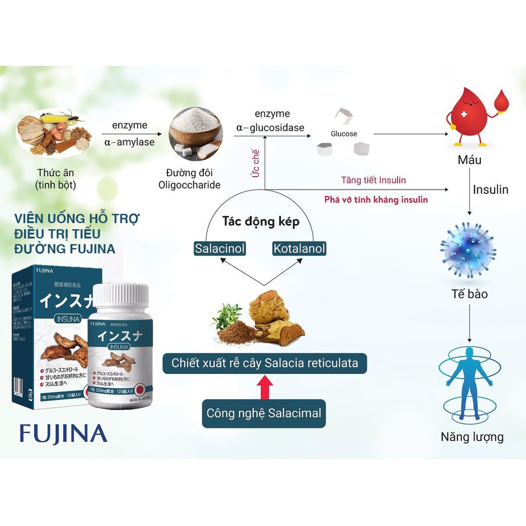 Insuna - Hỗ Trợ Cải Thiện Chỉ Số Đường Huyết Và Phòng Ngừa Biến Chứng Tiểu Đường