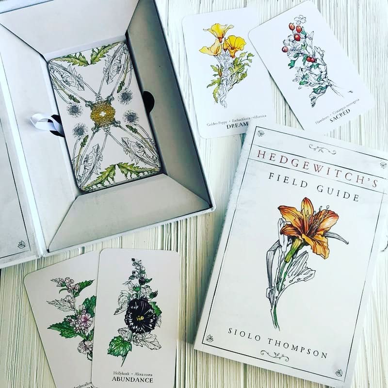 Bộ Bài Hedgewitch Botanical Oracle (Mystic House Tarot Shop) - Bài Gốc Authentic Chính Hãng 100%