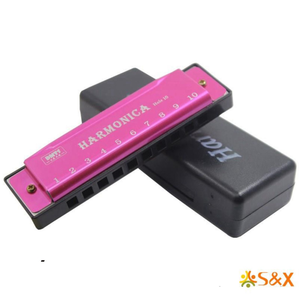 Kèn Harmonica 10 Lỗ Cho Người Mới Bắt Đầu