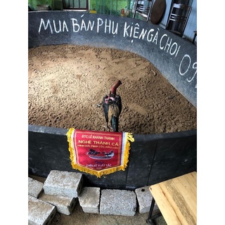 mega c21 gà chọi