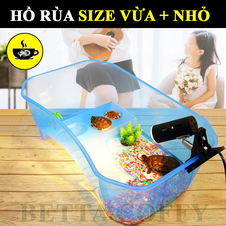 Bể Nuôi Rùa - Nuôi cá ếch thằn lằn chuột đều được - Size vừa &amp; nhỏ