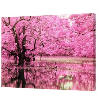 Tranh vải canvas không khung trang trí diy 40*50cmXZY5266YX-1