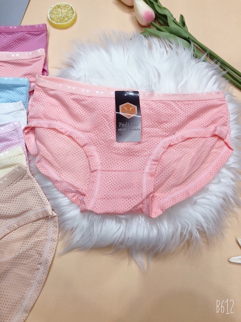 Sỉ 10 quần lót cotton thông hơi