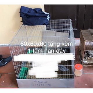 Lồng 60x60 nuôi gà nuôi chim