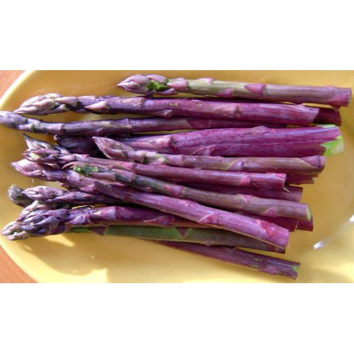 Hạt Giống Măng Tây Tím F1 USA Gói 20 Hạt