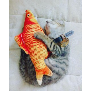 Cá nhồi bông cho chó mèo các size