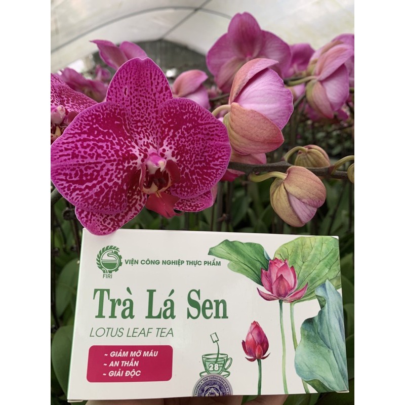 trà lá sen túi lọc giảm cân firi 🌳nhập mã HAITIC9 giảm 20k - hộp 28 túi lọc🌳giảm mỡ máu🌳 an toàn cho sức khỏe