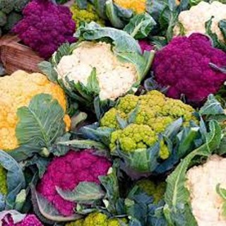10 Hạt giống Súp Lơ Nhiều Màu [CHẤT LƯỢNG]