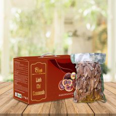 Nấm Linh Chi Đỏ (Hồng Chi) 500g - Thương Hiệu CENMUSH - Nấm Hồng Chi O