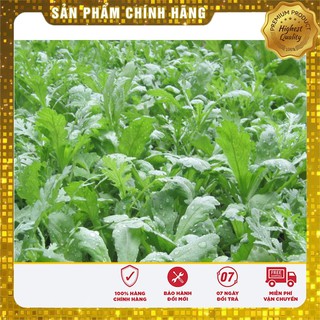 Bộ gói hạt giống Cải cúc Tẻ