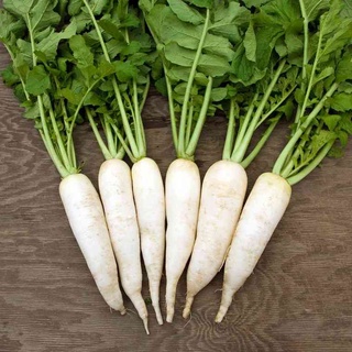 Hạt Giống Củ Cải Trắng (Ngọt) 20gr