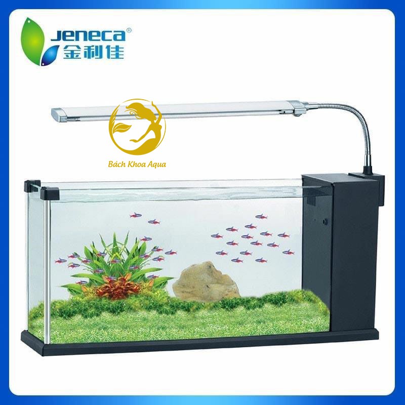 Hồ Jeneca TG-21