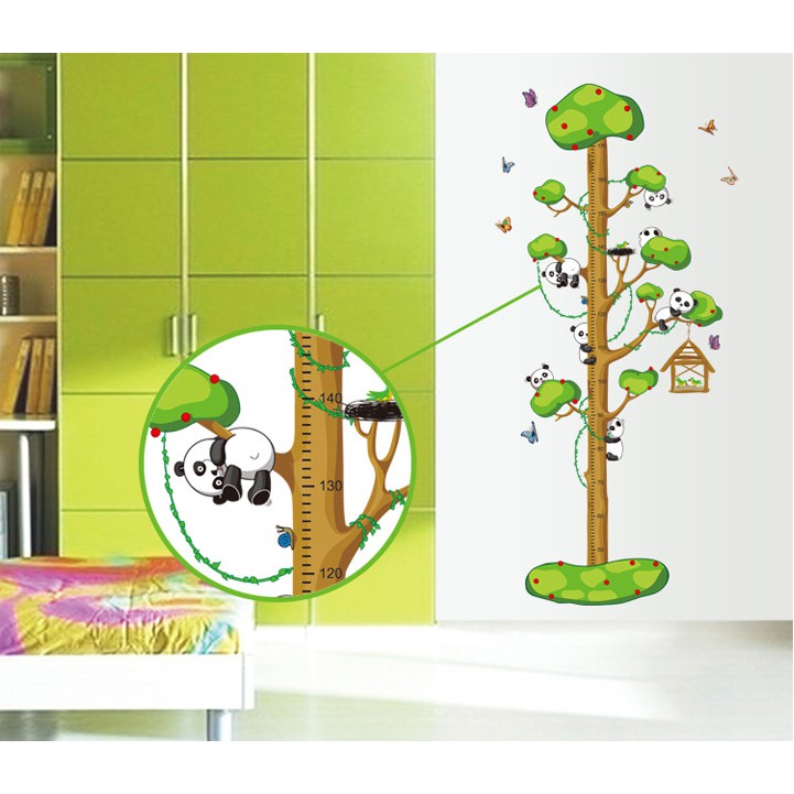 Decal trang trí thước đo thân Cây Xanh nhiều nhánh và Gấu trúc tinh nghịch