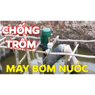 Chống trộm cây cảnh