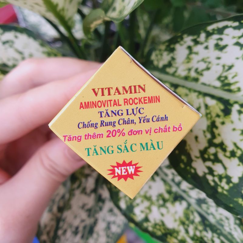 Vitamin RockeminTăng Lực Cho Chim