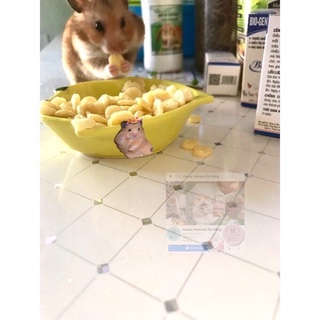 Bắp dẹp phô mai ăn vặt cho Hamster