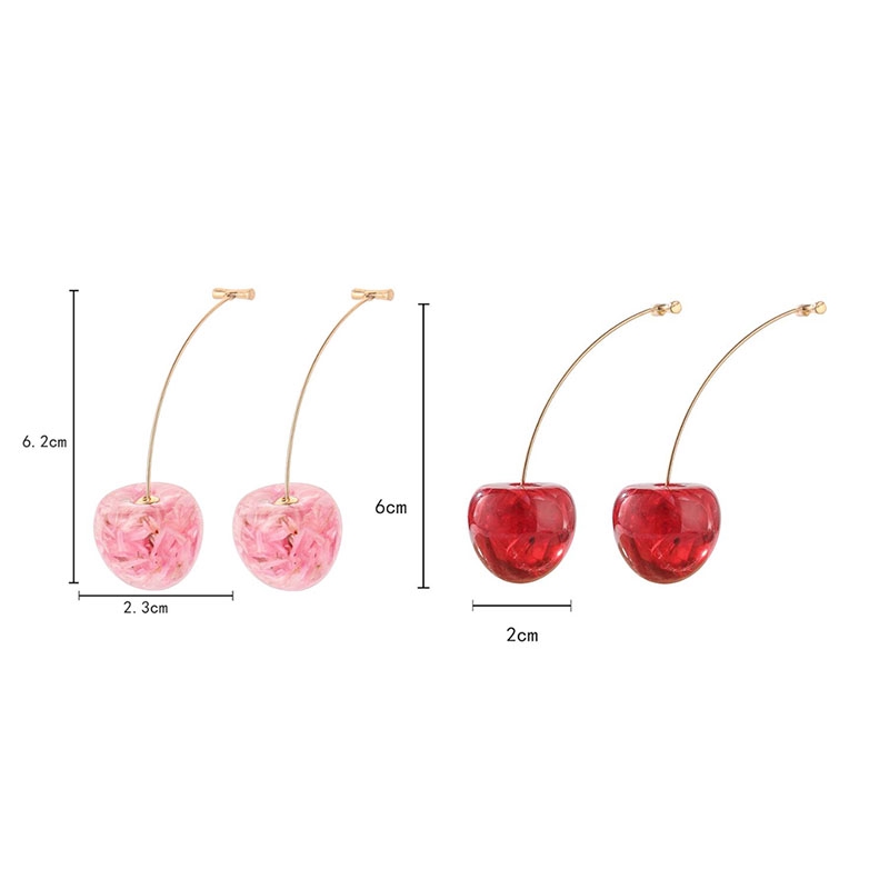 Khuyên Tai Hoa Khô Xinh Xắn Dành Cho Nữ