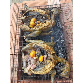 Gà ác ôm trứng ( 1 con 500gr-700gr )