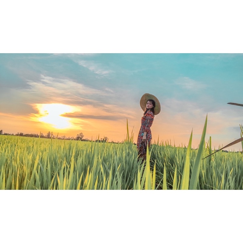 Đầm ấn thanh lý