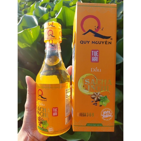 Dầu Sacha Inchi Quy Nguyên Tuệ Hải 250mle