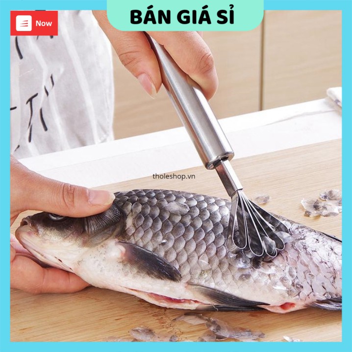 Đánh vảy cá  💯 GIÁ VỐN]   Cây cạo vảy cá, nạo dừa chất liệu thép không gỉ, bền bỉ 3176