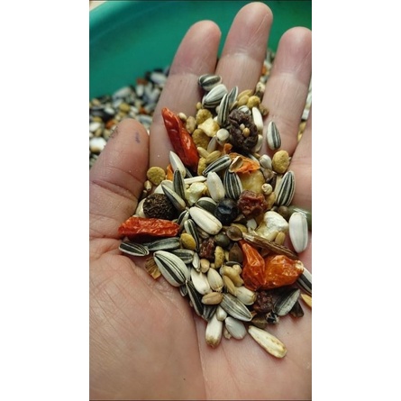 Hạt trộn DELI NATURE - DOWN UNDER ( 20 ) dành cho vẹt gói 1kg