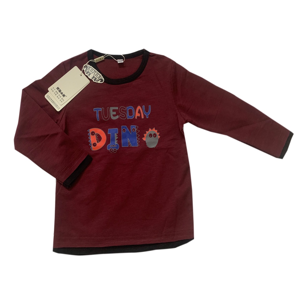 Áo thun dài tay cho bé cổ tròn, áo thu đông trẻ em dài tay hàng xuất khẩu