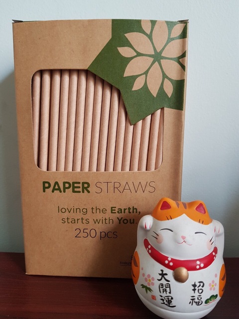 Hộp ống hút giấy Biogreen thân thiện môi trường | BigBuy360 - bigbuy360.vn