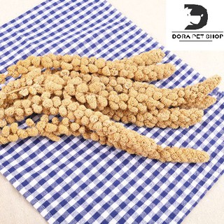 KÊ CHÙM- KÊ SỢI GIÚP HAMSTER MƯỢT LÔNG