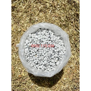 1kg Đá Perlite (Trân Châu) size 8-16mm, Premium Dùng Cho Sen đá, Lan, Hồng, Trộn đất, Kích Thước To Tiết Kiệm