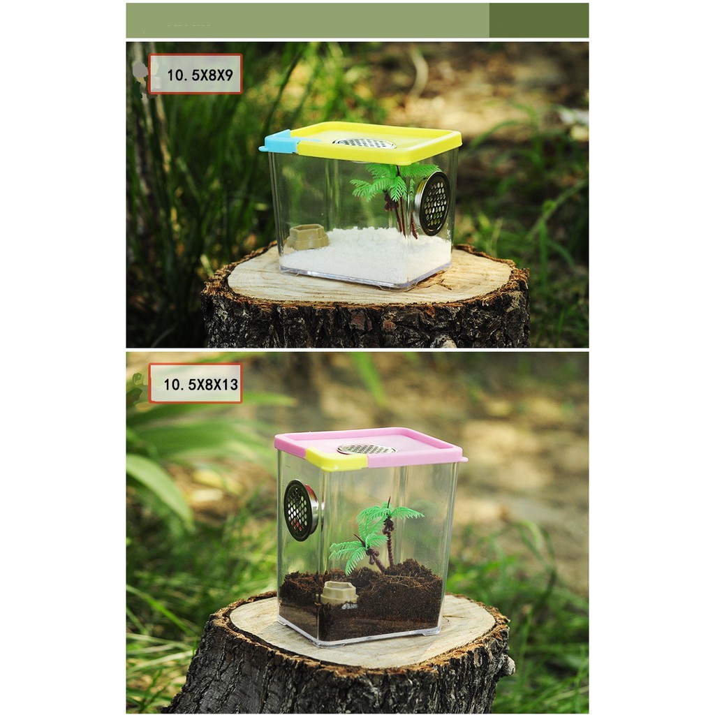 Tank nuôi nhện bọ cạp rết vật nuôi nhỏ