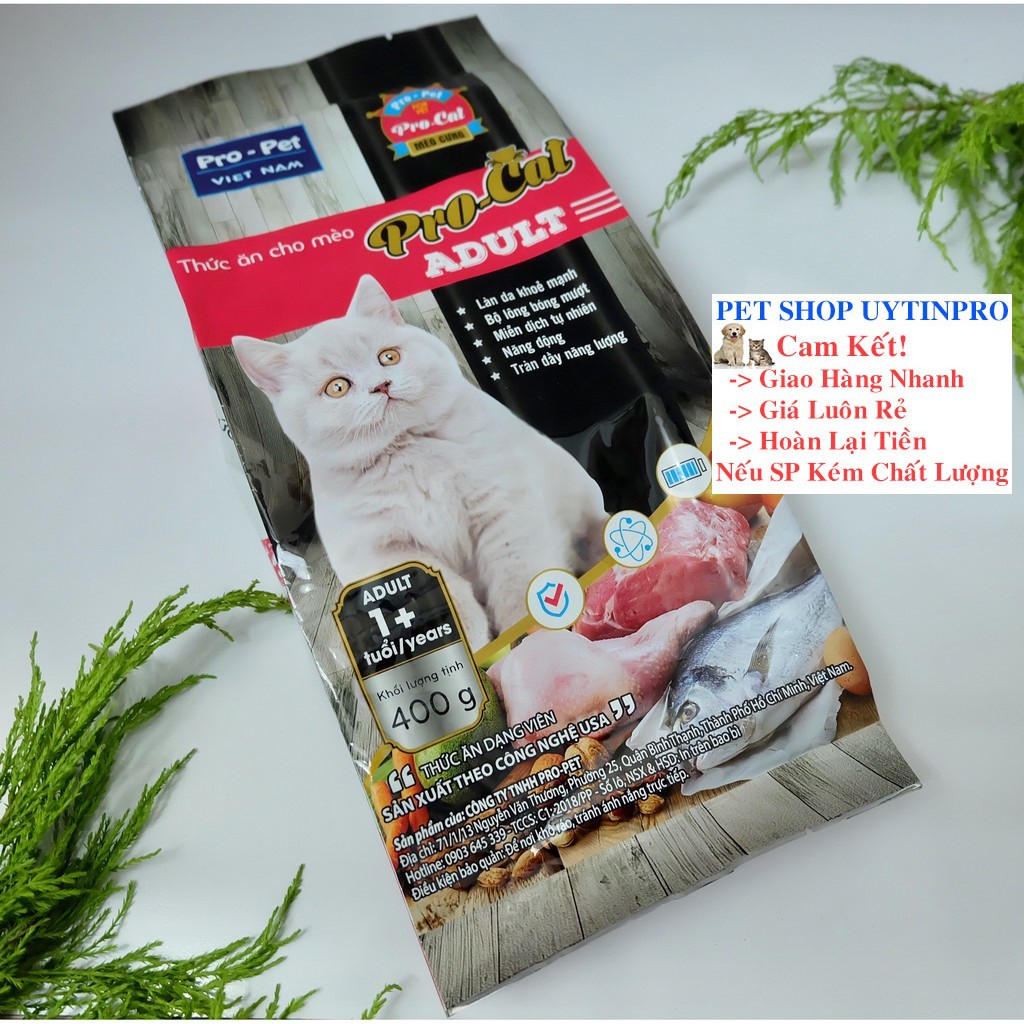 THỨC ĂN HẠT CHO MÈO Pro-Cat Aldult Túi 400g Xuất xứ Pro-Pet Việt Nam