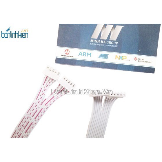 Dây Trắng 5P XH2.54-5P 30Cm