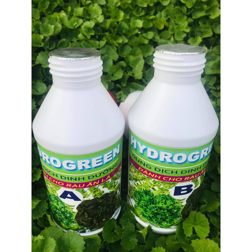 Dung Dịch Thuỷ Canh HYDROGREEN PART A & B 500ml