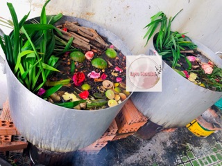 Combo dầu gội dầu xả xịt bưởi